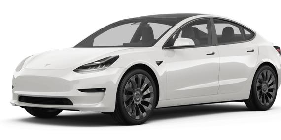 TESLA MODEL 3 2023 5YJ3E1EA7PF570031 image
